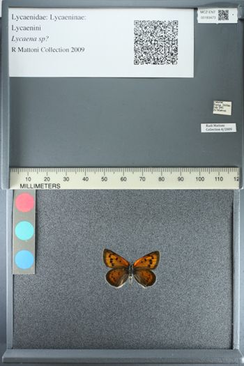 Media type: image;   Entomology 183473